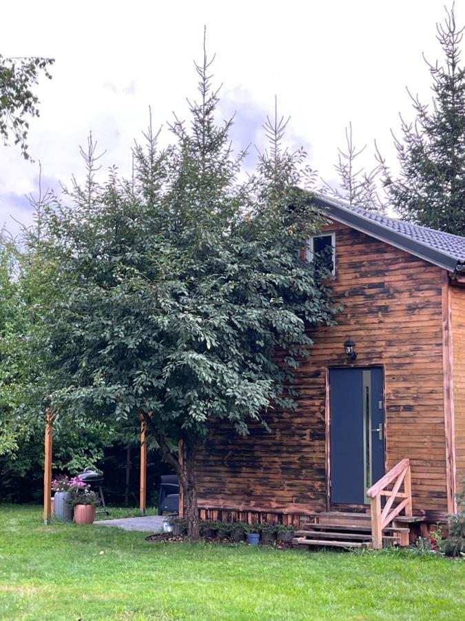 Jezowka I Sudetka Vila Jezow Sudecki Exterior foto